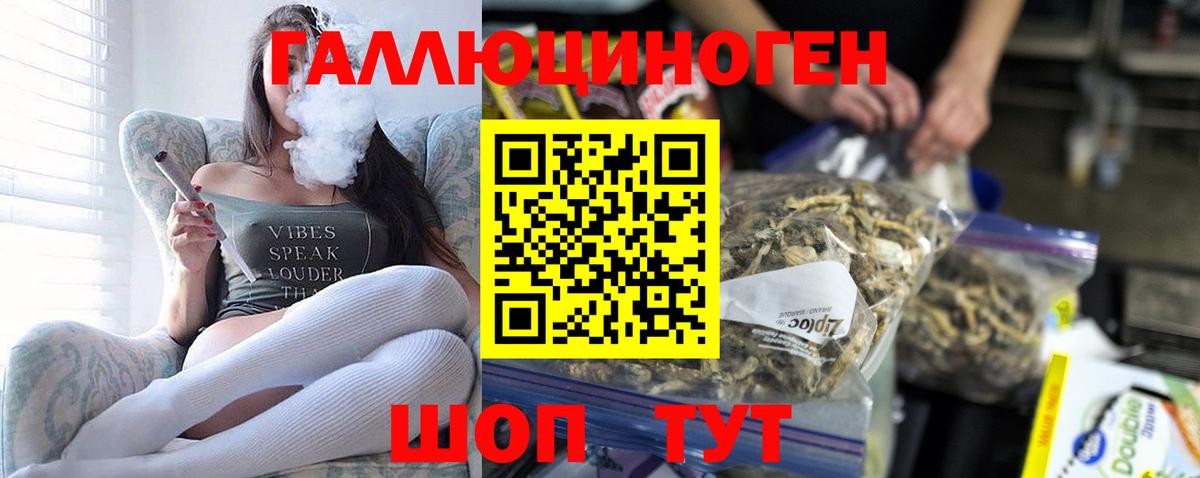 Галлюциногенные грибы GOLDEN TEACHER  Псилоцибиновые грибы ЛСД  Новоуральск  Вход с VPN 